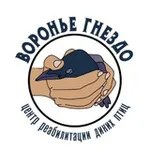 Аватар канала "Воронье Гнездо" - помощь птицам