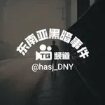 Аватар канала 东南亚黑暗事件
