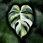 Аватар канала Комнатные Растюшки 🌿
