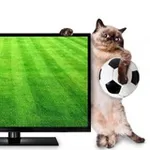 Аватар канала Чемпионат Дамира ⚽️ 🏒