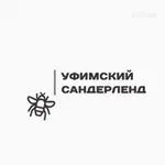 Аватар канала Уфимский Сандерленд