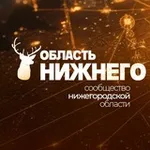 Аватар канала Область Нижнего