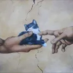 Аватар канала Котішечки коти