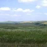 Аватар канала Лесостепняк