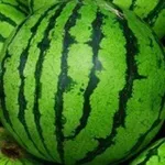 Аватар канала watermelon confession [ 🍉 ‼️ ]