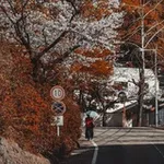 Аватар канала дайфуку вишневий коло хати 🌸