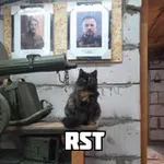 Аватар канала RST