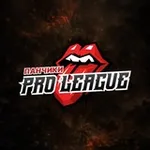 Аватар канала ПАНЧИКИ PRO LEAGUE 🕷 ФИНАЛ