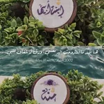 Аватар канала "اِبنةُ أبيها".