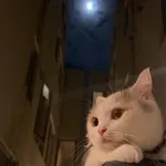 Аватар канала غَيهَب