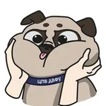 Аватар канала На волне с ЦПВ ДВФУ
