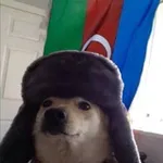 Аватар канала >cute Azerbaijani doggo