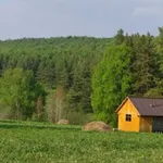 Аватар канала Девушка и Лес 🌱