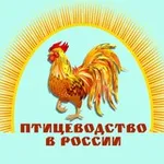 Аватар канала Птицеводство в России