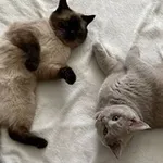 Аватар канала monial-rubbie ♥ ︎.
