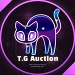 Аватар канала Nova Auction
