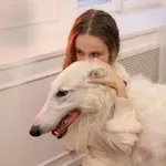 Аватар канала мчс малыш