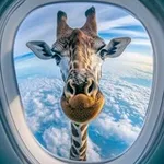 Аватар канала Улыбнись
