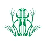 Аватар канала TACTICAL FROG