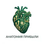 Аватар канала Анатомия Прибыли