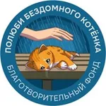 Аватар канала Полюби бездомного котёнка