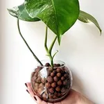Аватар канала Green_me_back