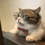 Аватар канала ВДО мемы