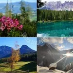 Аватар канала Südtirol in allen Farben
