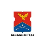 Аватар канала Соколиная Гора