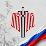 Аватар канала Народная Дружина