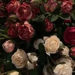 Аватар канала домик пиара от домовенка ⚜️