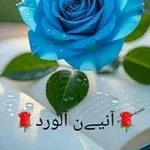 Аватар канала آنـ 🦋 ـيـن آلَوٌردٍ 🌸