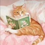 Аватар канала lecture d'âme 🦉