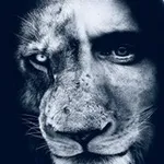 Аватар канала LION Media