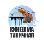 Аватар канала Типичная Кинешма