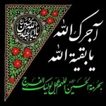 Аватар канала من أجل صاحب الزمان عجّل الله فرجه 🤍