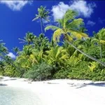 Аватар канала 🌴 🌷 واحة المبدعين 🌷 🌴