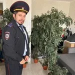 Аватар канала Трэш, угар и вызова
