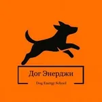 Аватар канала Дог Энерджи. Кинологическая школа