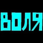 Аватар канала Volja
