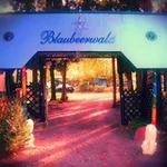 Аватар канала Blaubeerwald-Institut