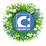 Аватар канала CITYSAKH