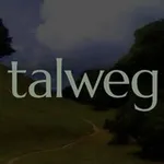 Аватар канала talweg