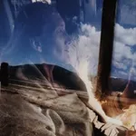 Аватар канала Journey into Shiva Heart