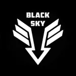 Аватар канала ББпС «BLACK SKY» 3 БрОП «СПАРТАН»