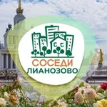 Аватар канала СОСЕДИ Лианозово