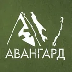 Аватар канала Вестник «АВАНГАРДА» 🇷🇺