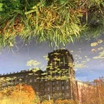 Аватар канала tropical saint petersburg