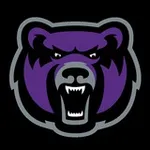 Аватар канала PurpleBear
