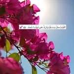 Аватар канала آيـات ✨